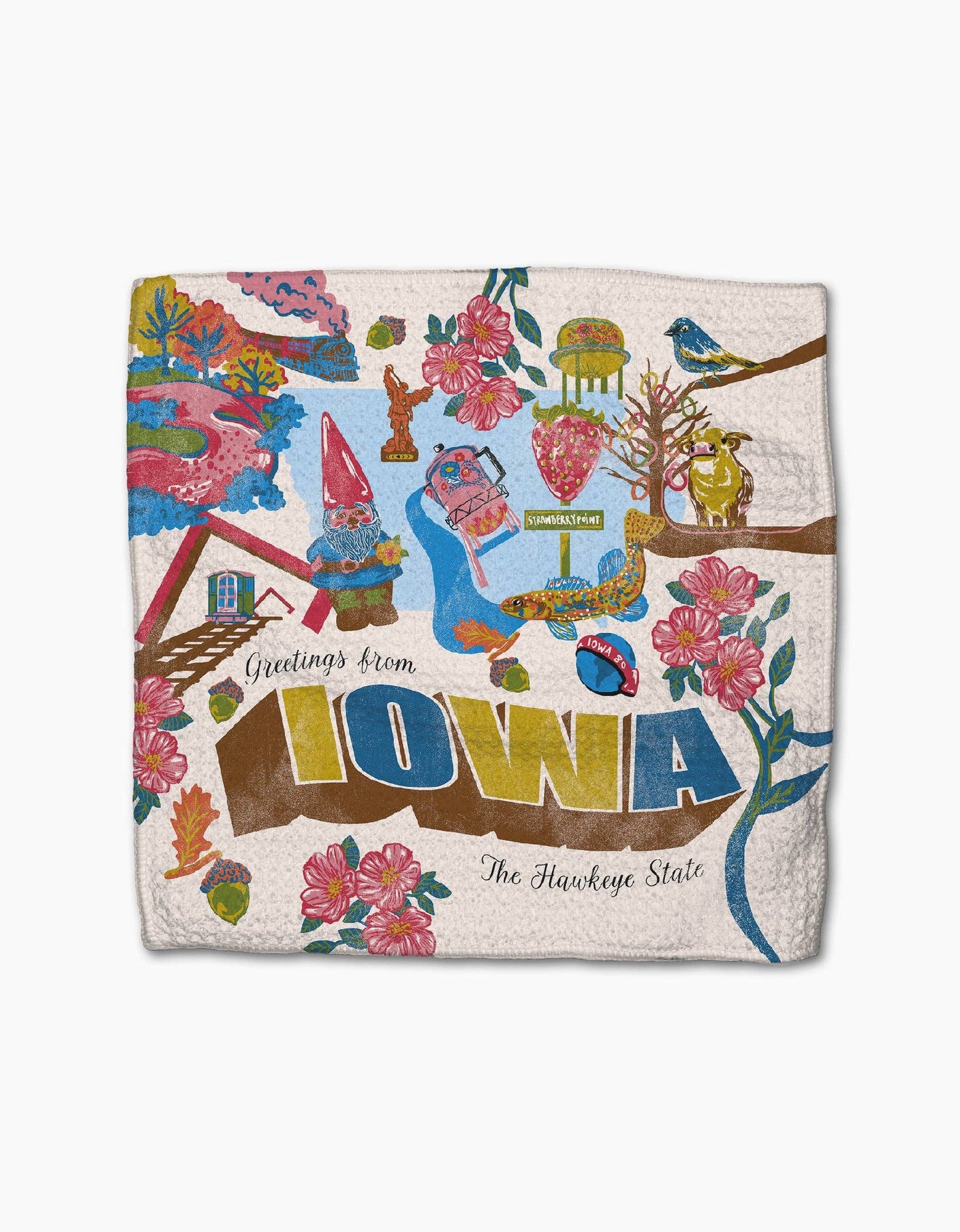 Greetings From Iowa Dishcloth Set