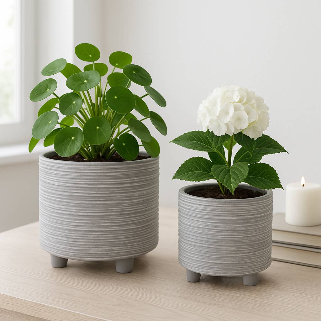 Grey Patterned Ceramic Footed