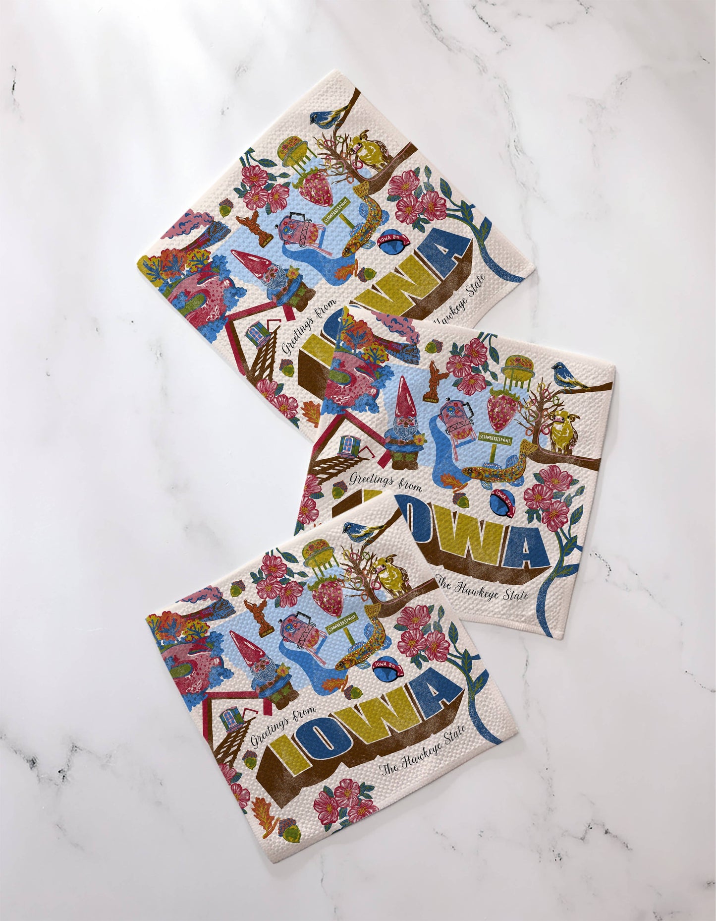 Greetings From Iowa Dishcloth Set