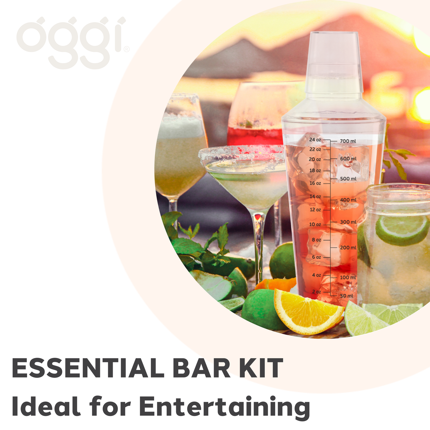 Cocktail Shaker, 24oz Clear