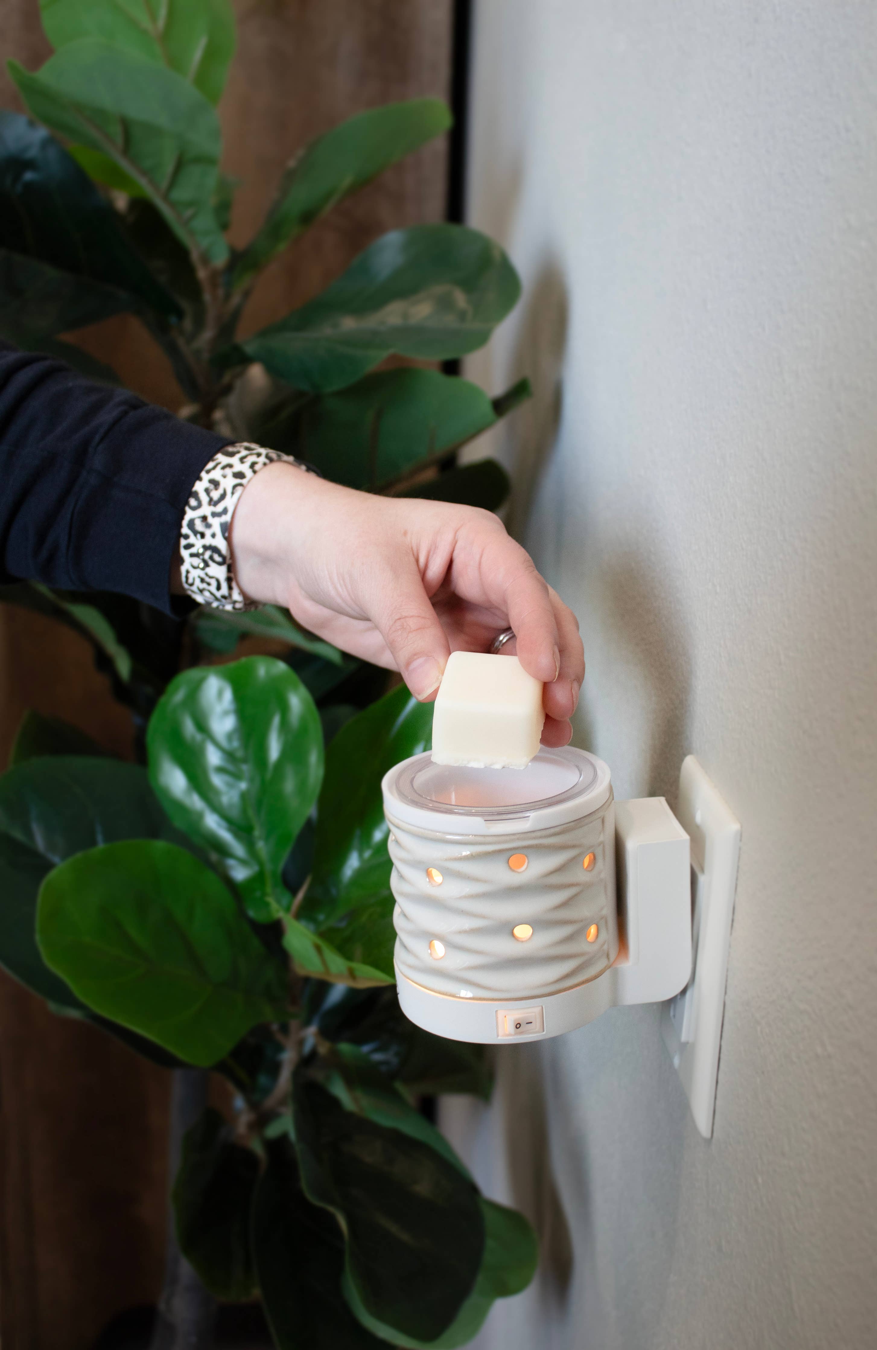 5.5 oz Wax Melts: Merry Mistletoe