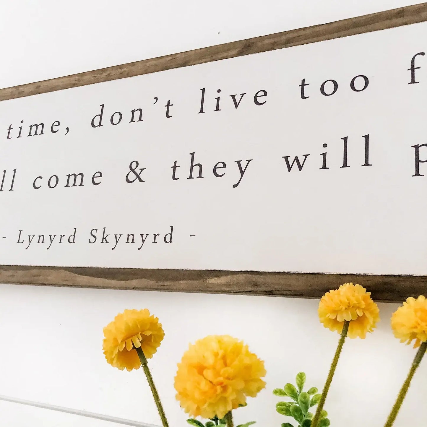Lynyrd Skynyrd Simple Man Lyric