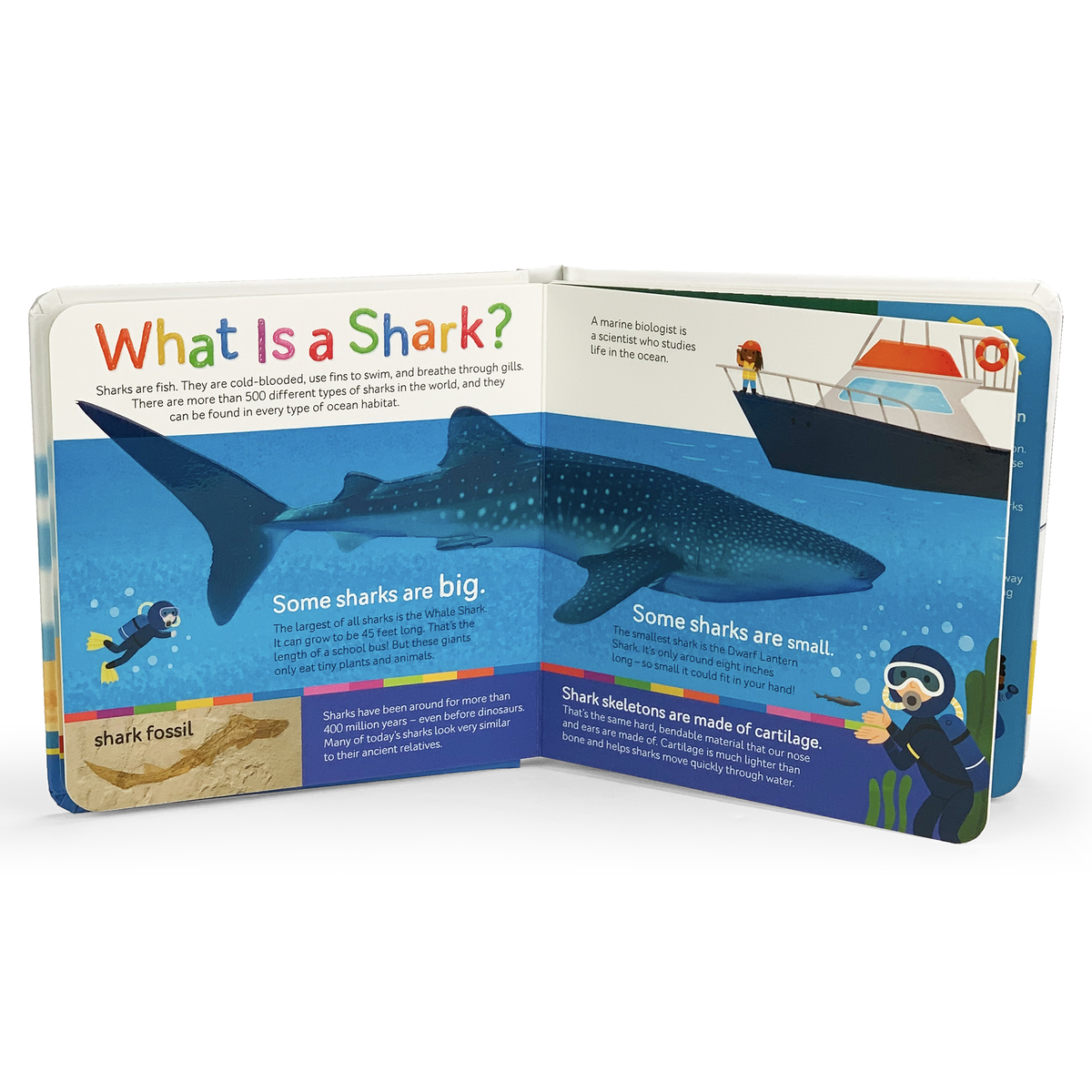 Smithsonian Kids Sharks