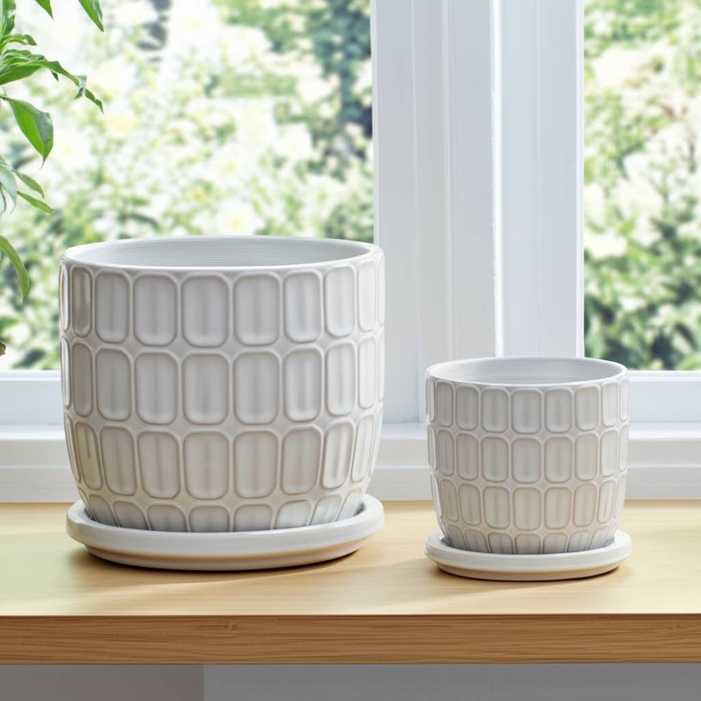 White Ceramic Squoval in Saucer
