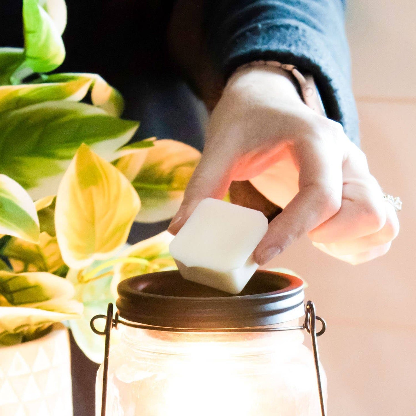 5.5 oz Wax Melts: First Snowfall