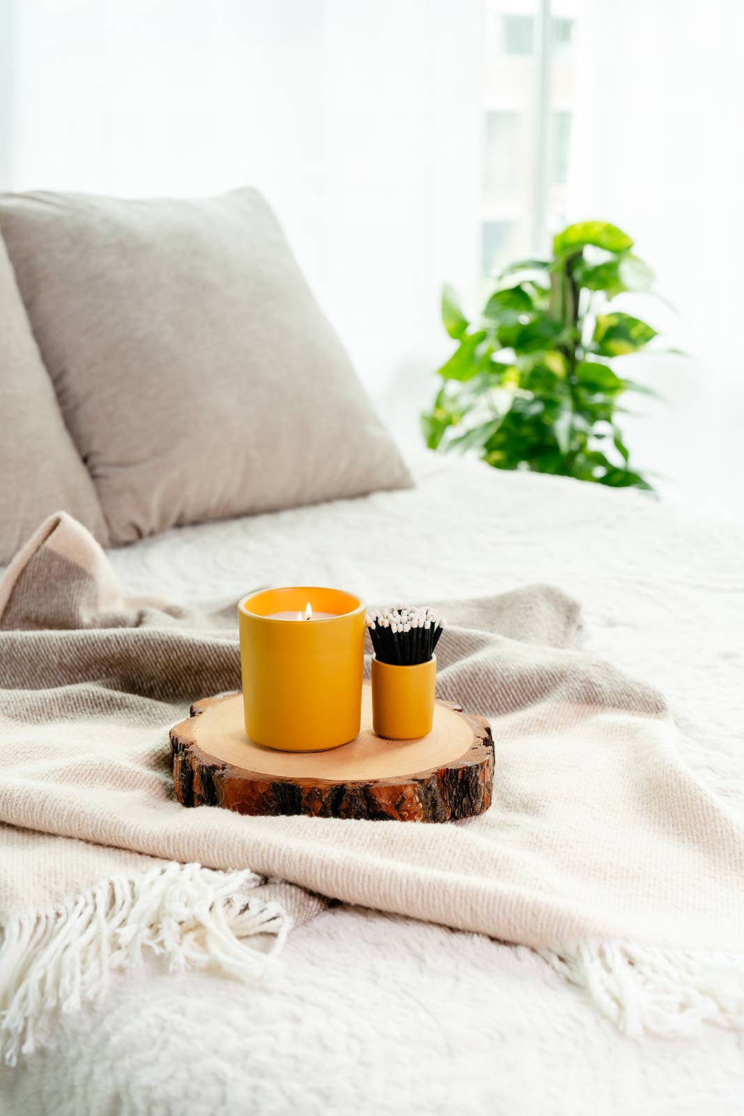 Earth & Ember 13 oz Candle: Sugared Maple