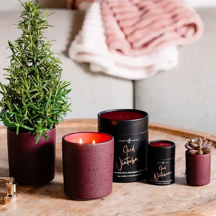 Iced Winterberries | 2 oz Votive Candle