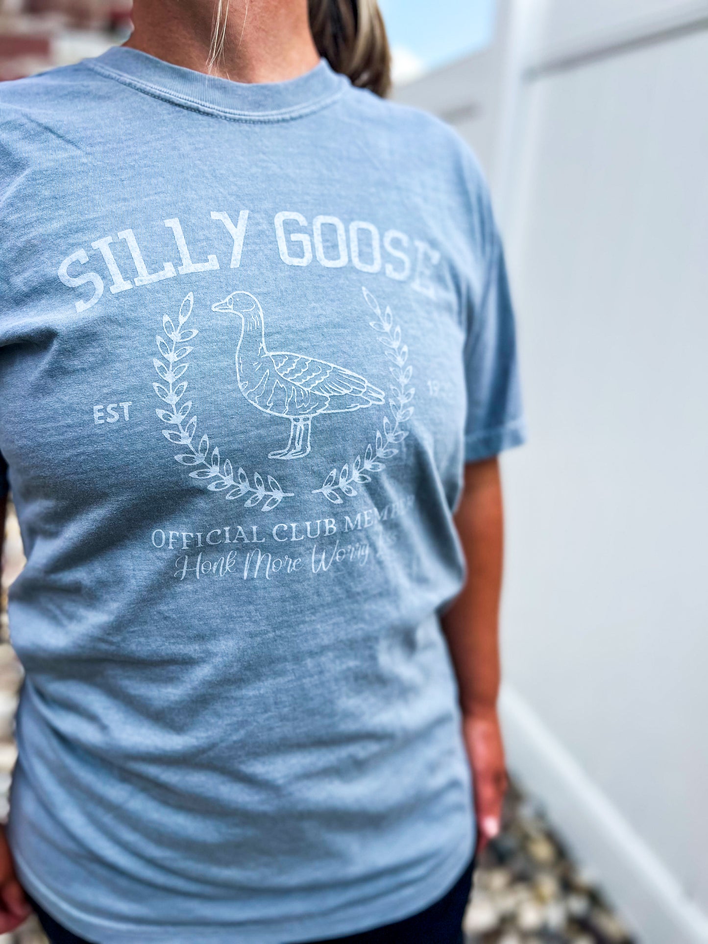 Silly Goose Club