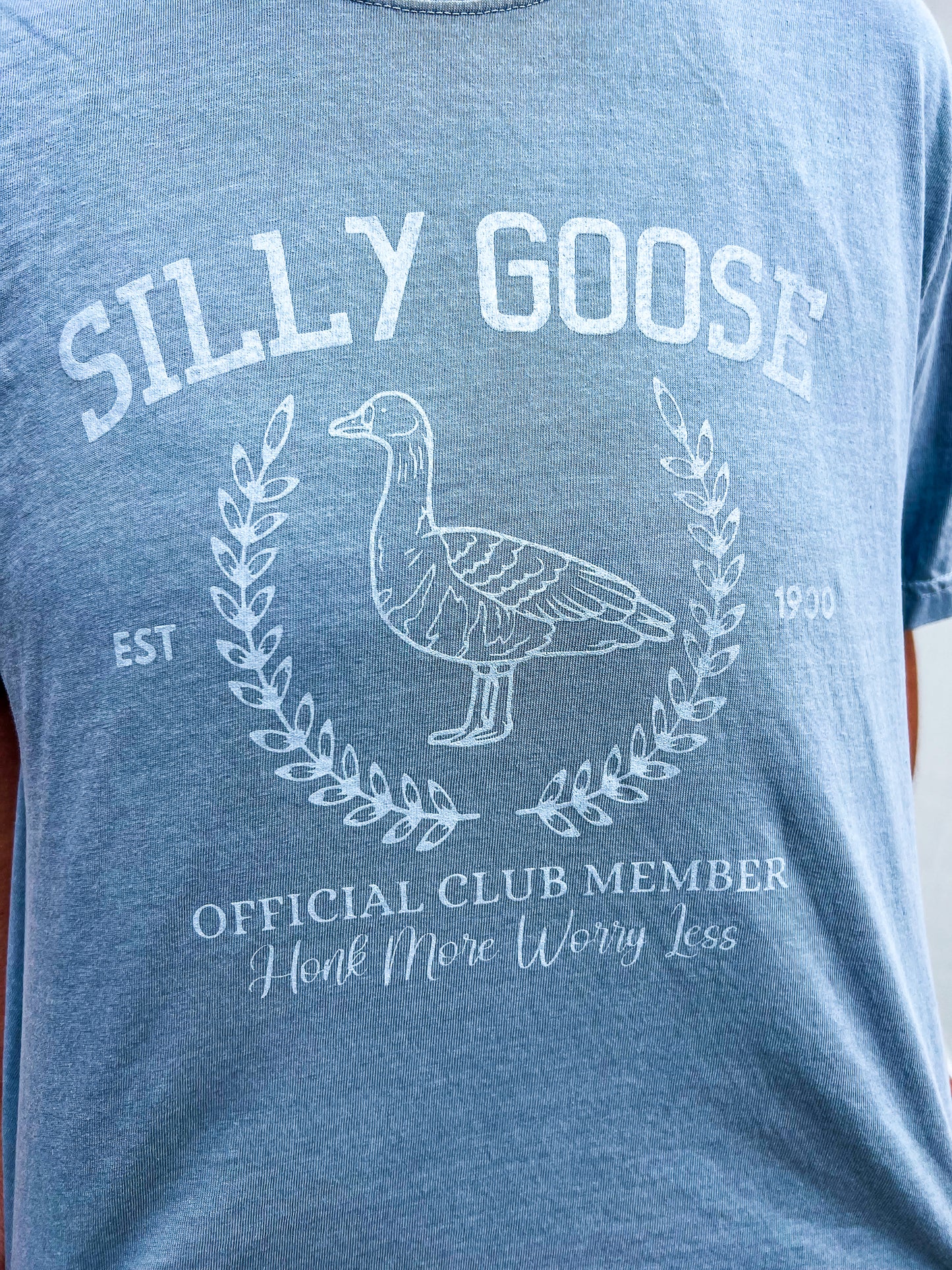 Silly Goose Club