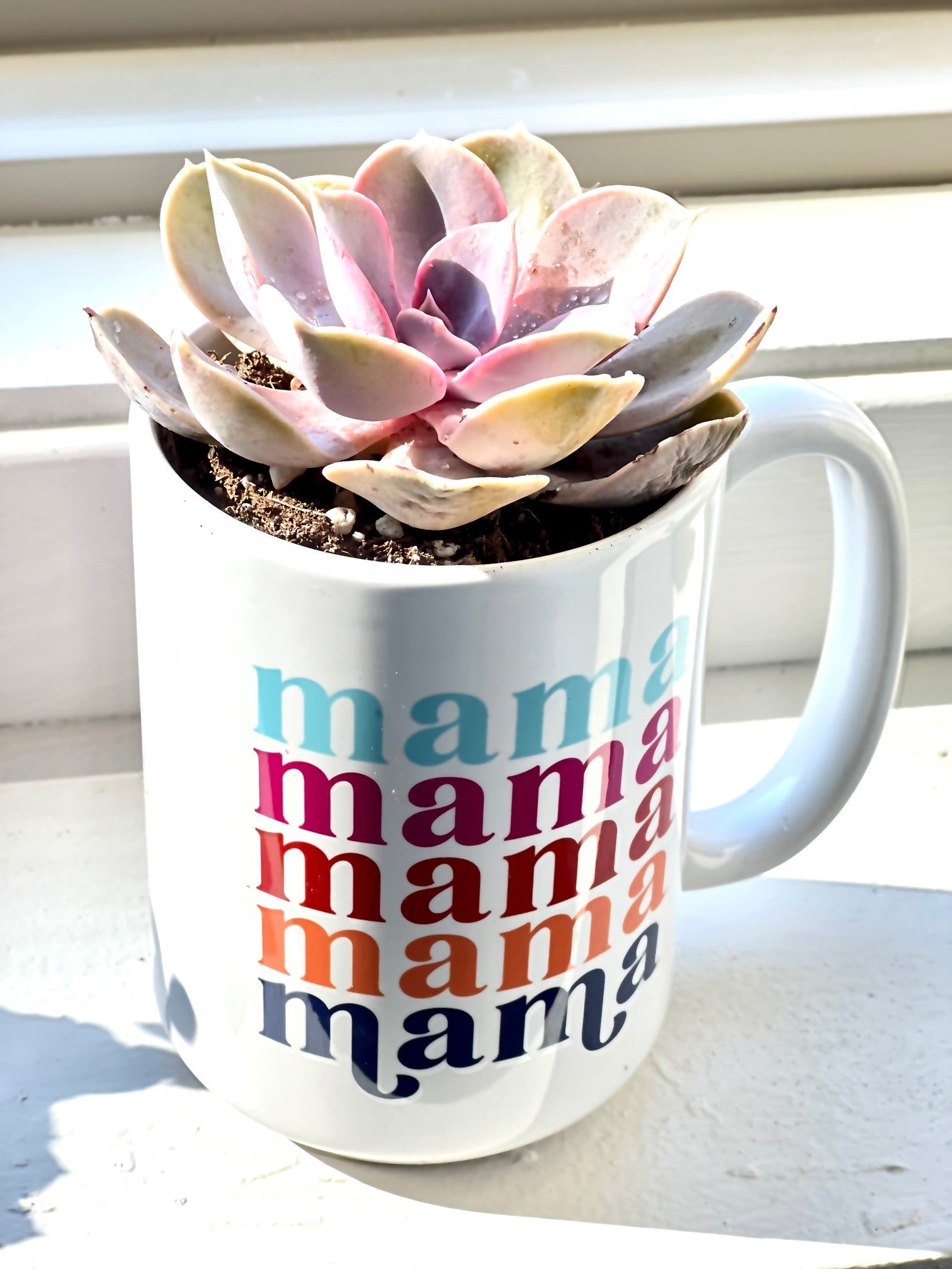 Mama Rainbow 11 oz Mug
